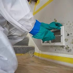 cleaning of mold