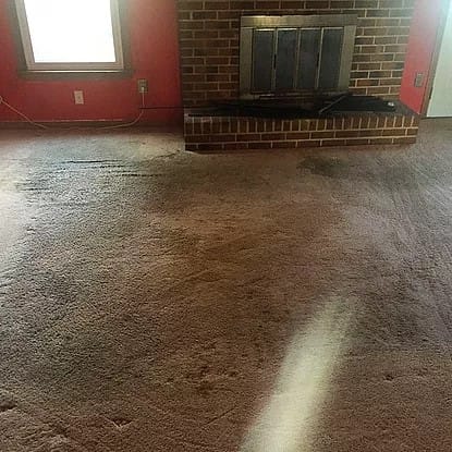 carpet cleaning service before fireplace