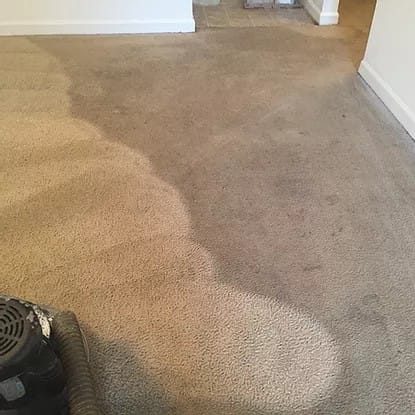 halfway cleaned beige floor