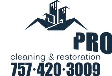 carpet pro logo