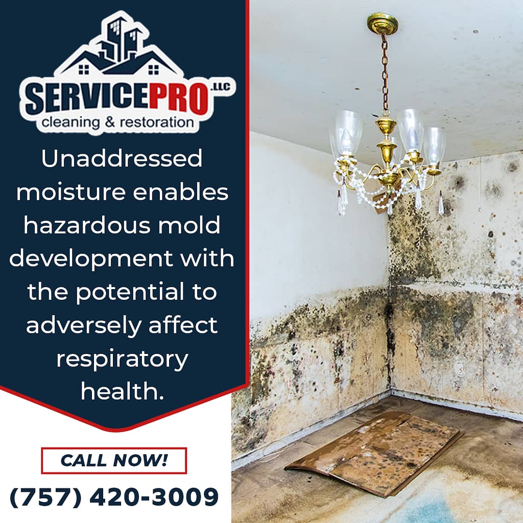 Service Pro LLC Unaddressed Moisture