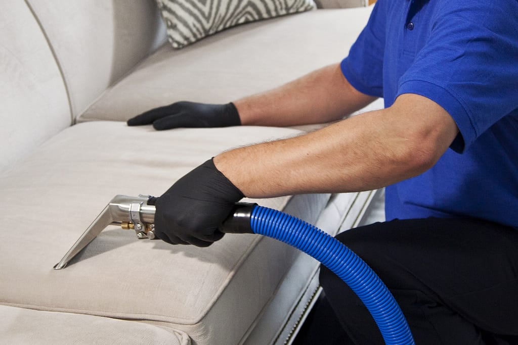 upholstery cleaning services
