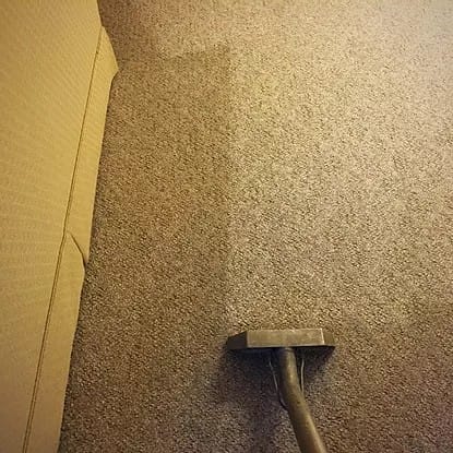 steam cleaner on a carpet carpet cleaning service